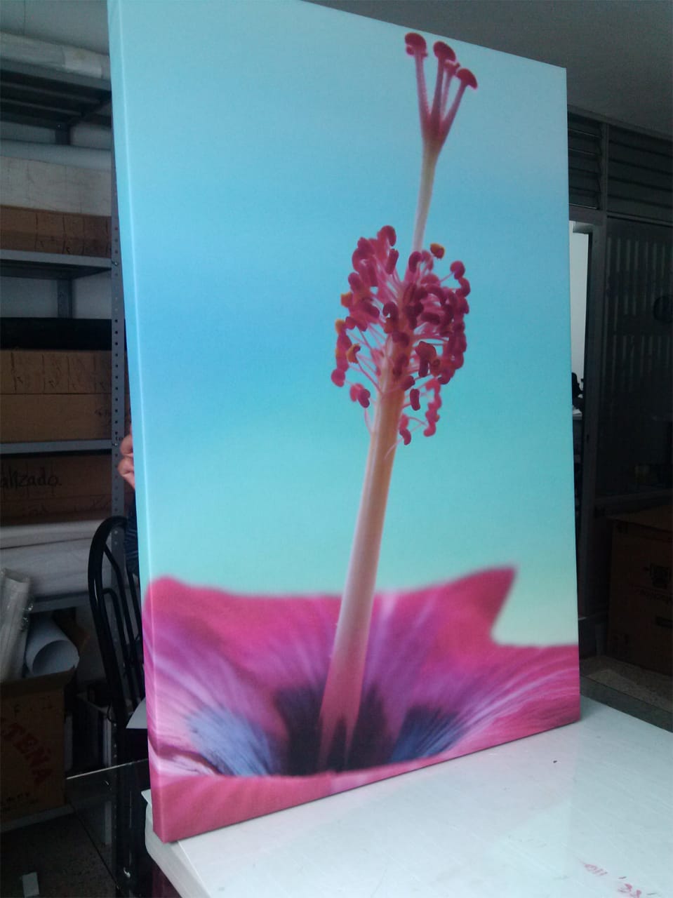 IMG-20210426-WA0011